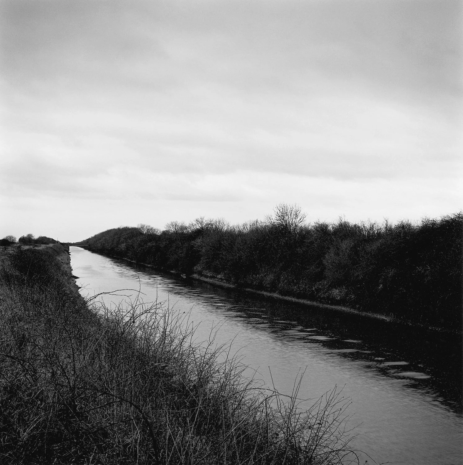 DRAINED — PAUL HART